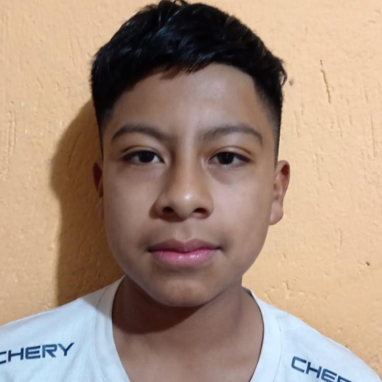 User Image