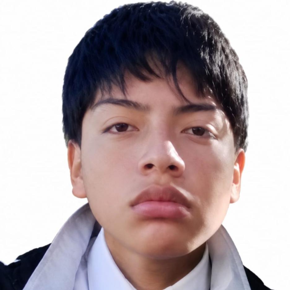 User Image