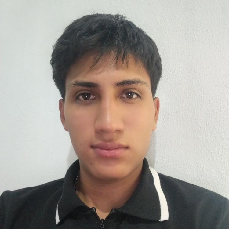 User Image